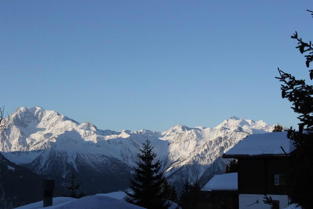 Kleeblatt - Parterre - Aussicht von der Terrasse