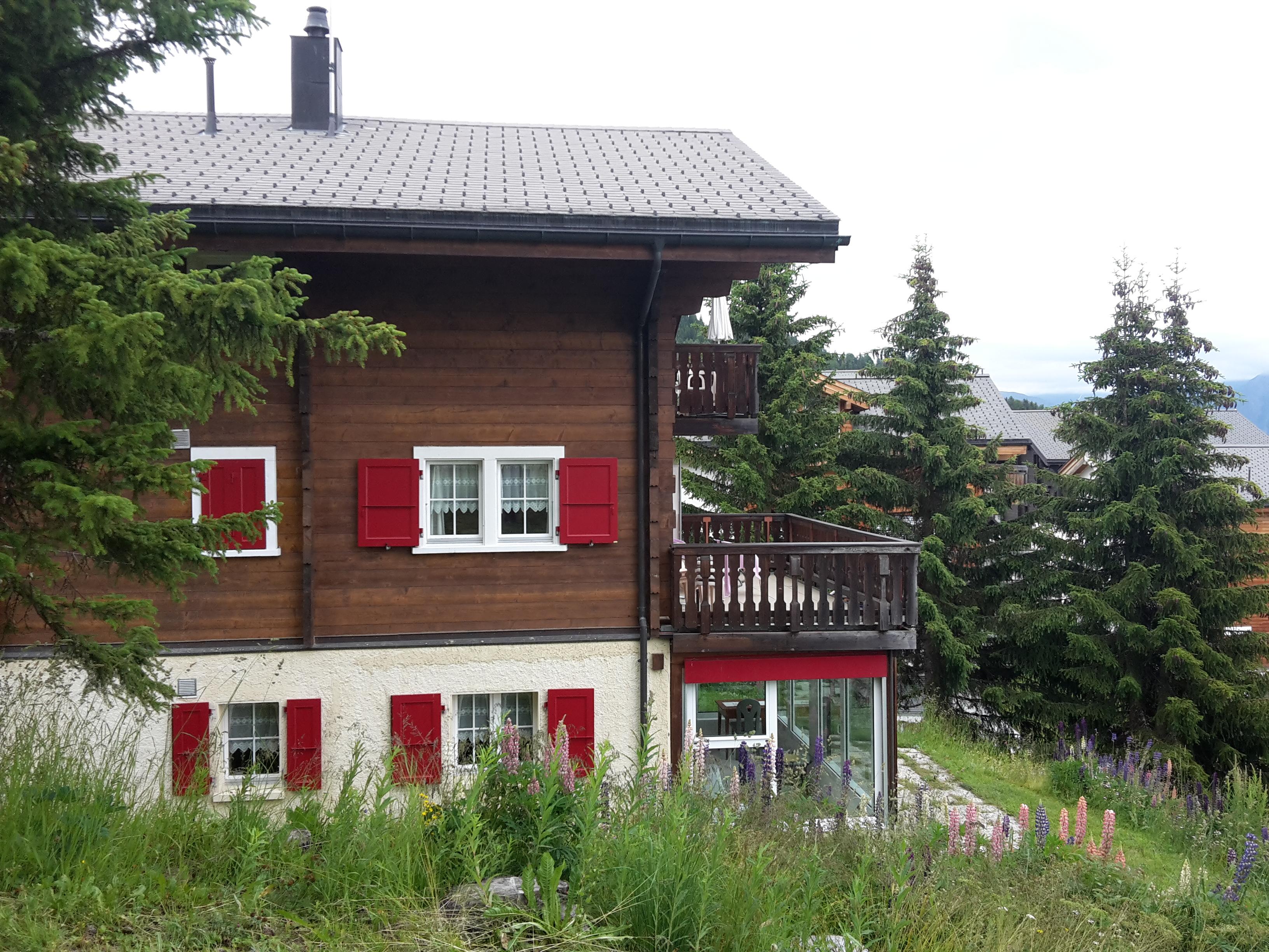 Rosmarie EG Süd - 20200716_183240