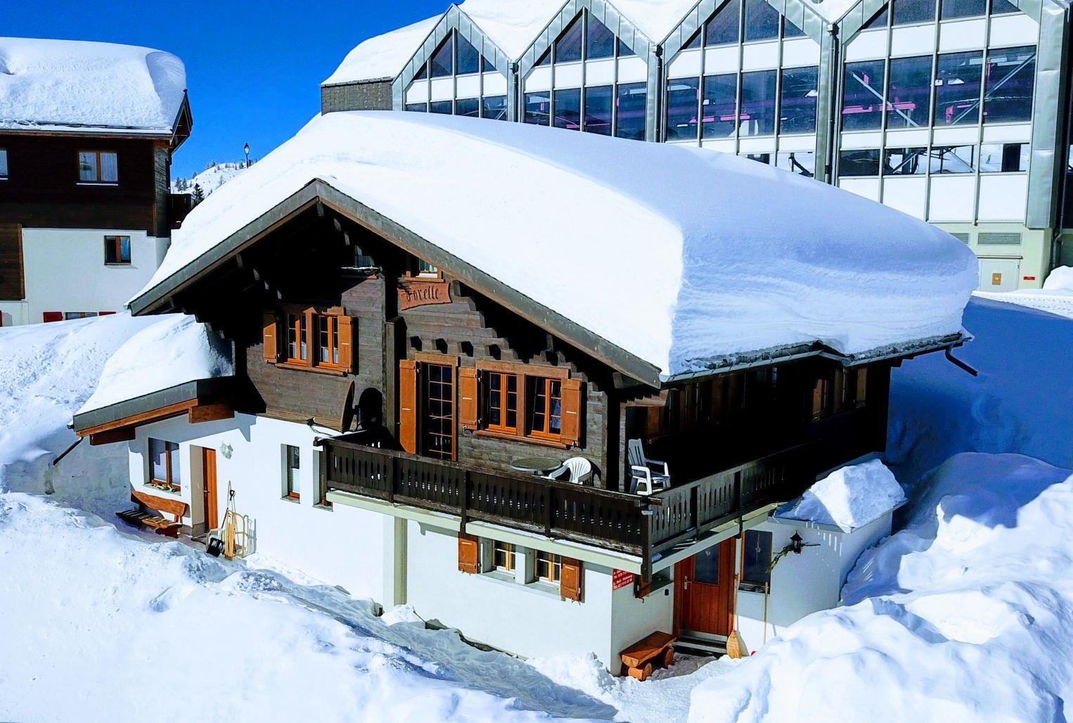 Forelle - Winteransicht