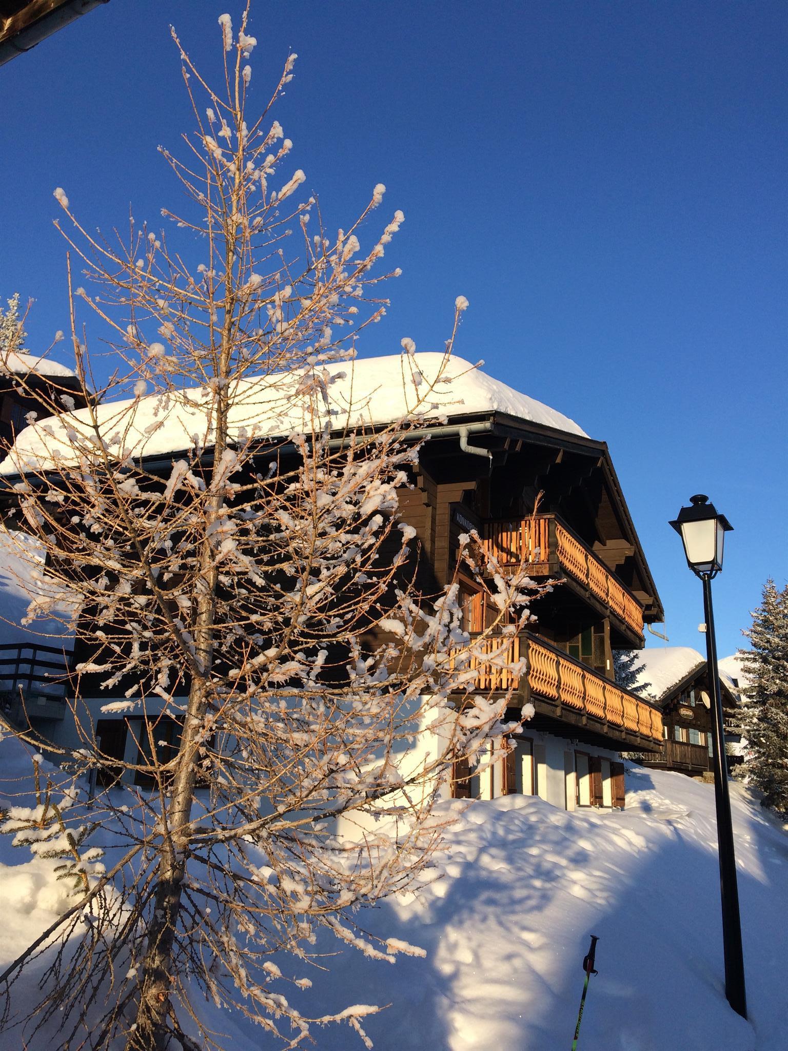 Konkordia 5 - 2. Stock - Konkordia_Aussensicht_Winter