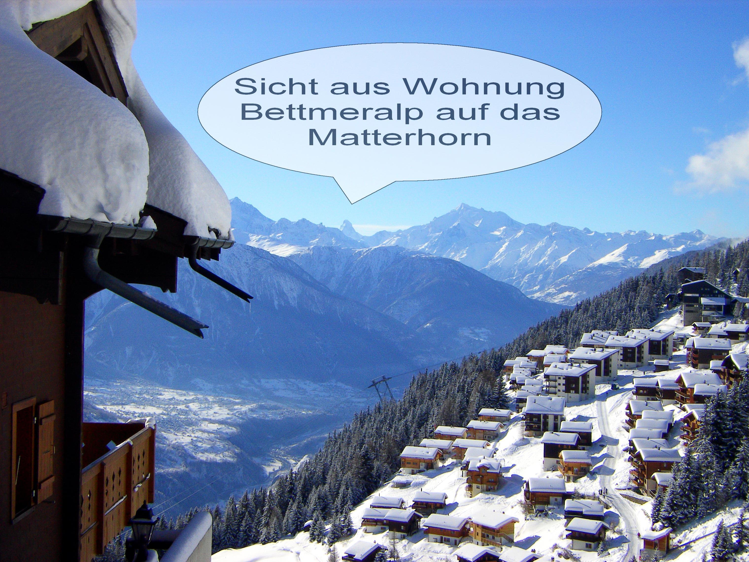 Alpenrose 3 - Aussicht im Winter