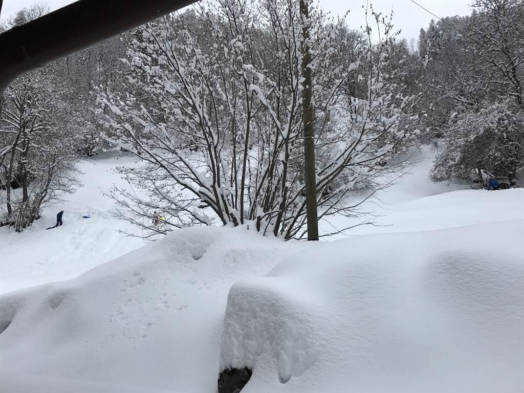 Eggerhorn EG - Winterhang hinter dem Haus