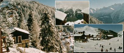 Alpsägu - Collage Winter