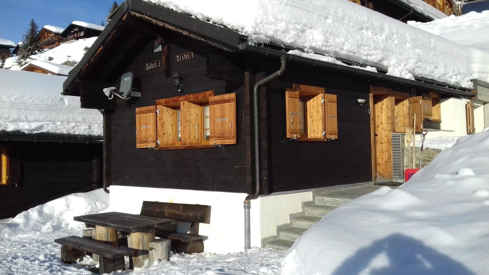 Silberdistel - IMG-20190128-WA0008