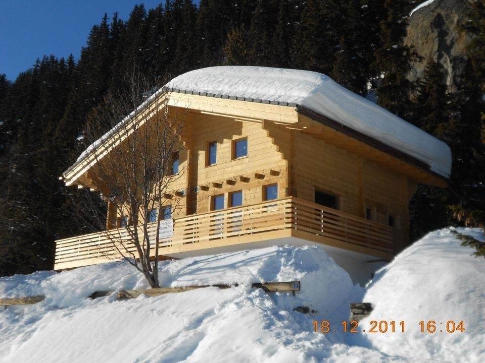 Alpenstern Parterre - Winter