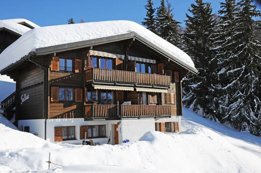 Trollius 1. Stock Ost - Chalet Trollius