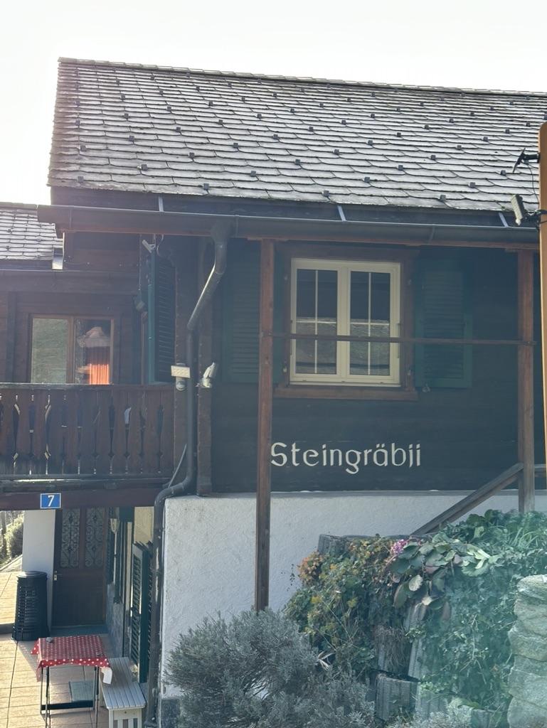 Steingräbji 1. OG Süd - ansicht-fussweg