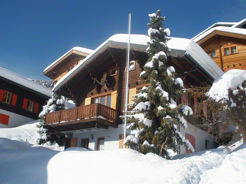 Jasmin Parterre - Aussenansicht Winter