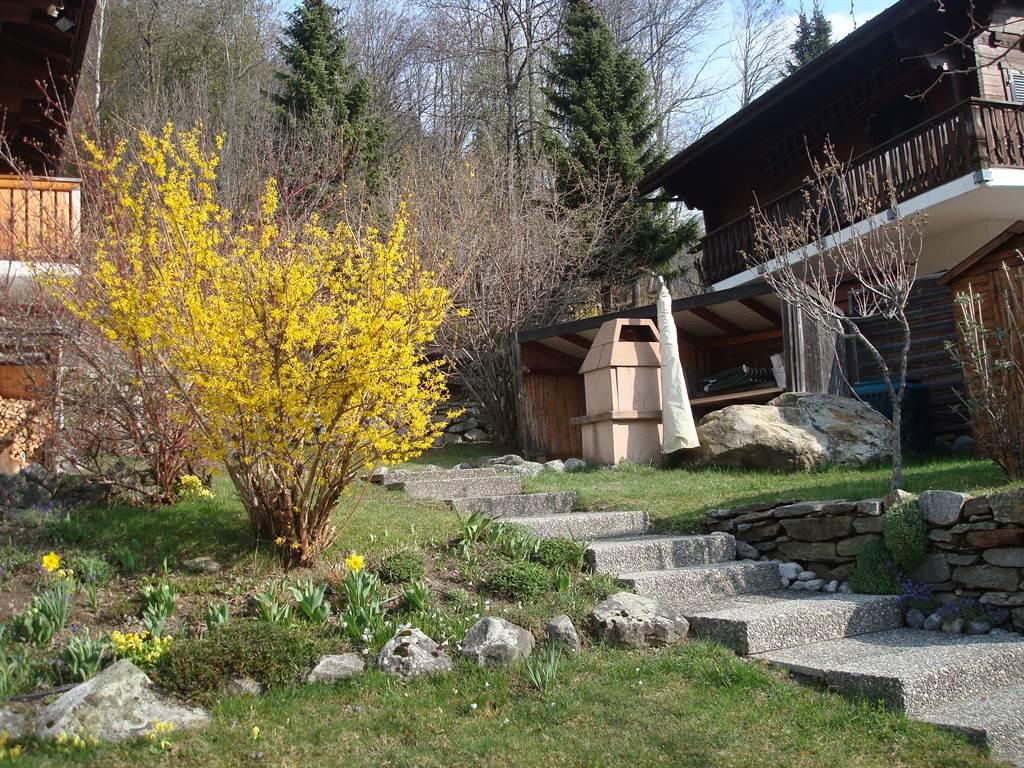 Eggerhorn OG Süd - Zugang