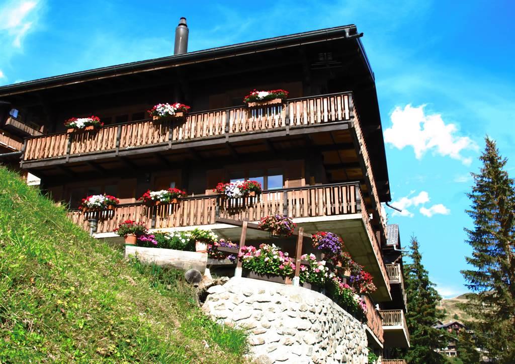 Sonnhalde 1. Stock Süd-West - SONNHALDE_2