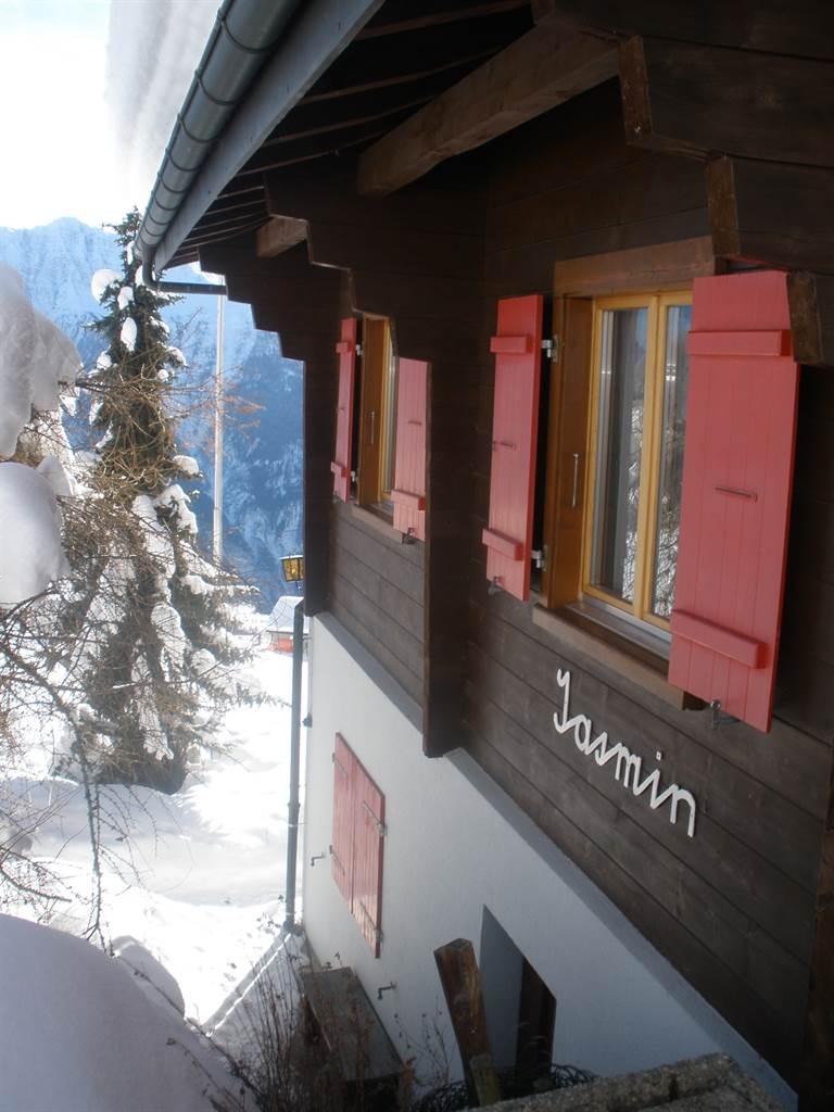 Jasmin Parterre - Ostseite