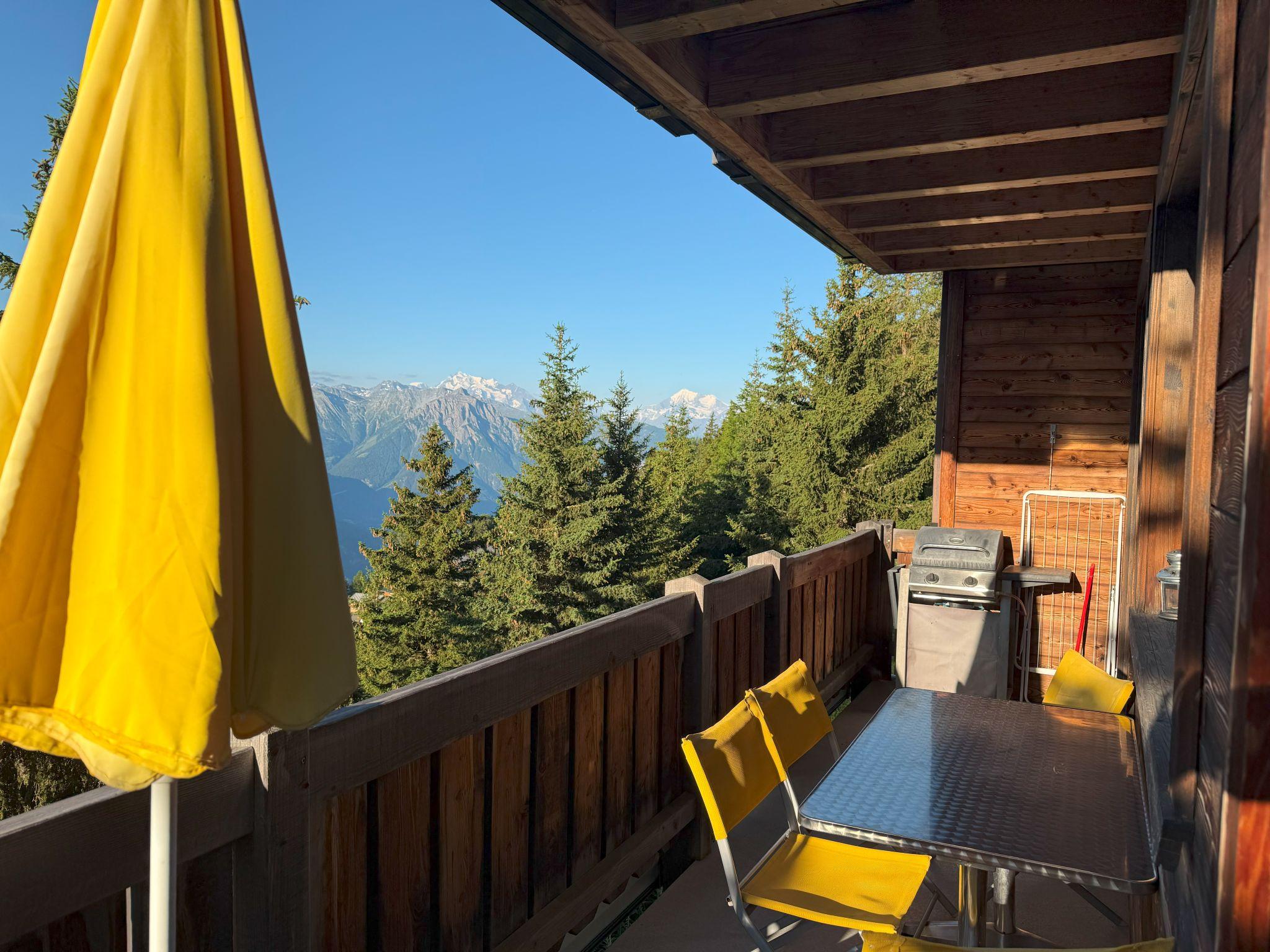 Wakatipu-Lodge - Sonnenterrasse mit Grill