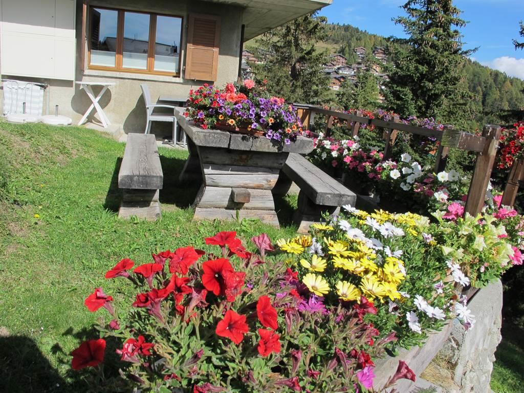 Sonnhalde Parterre - Platzi_1