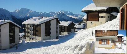 Abendfloh Parterre - Collage Winter