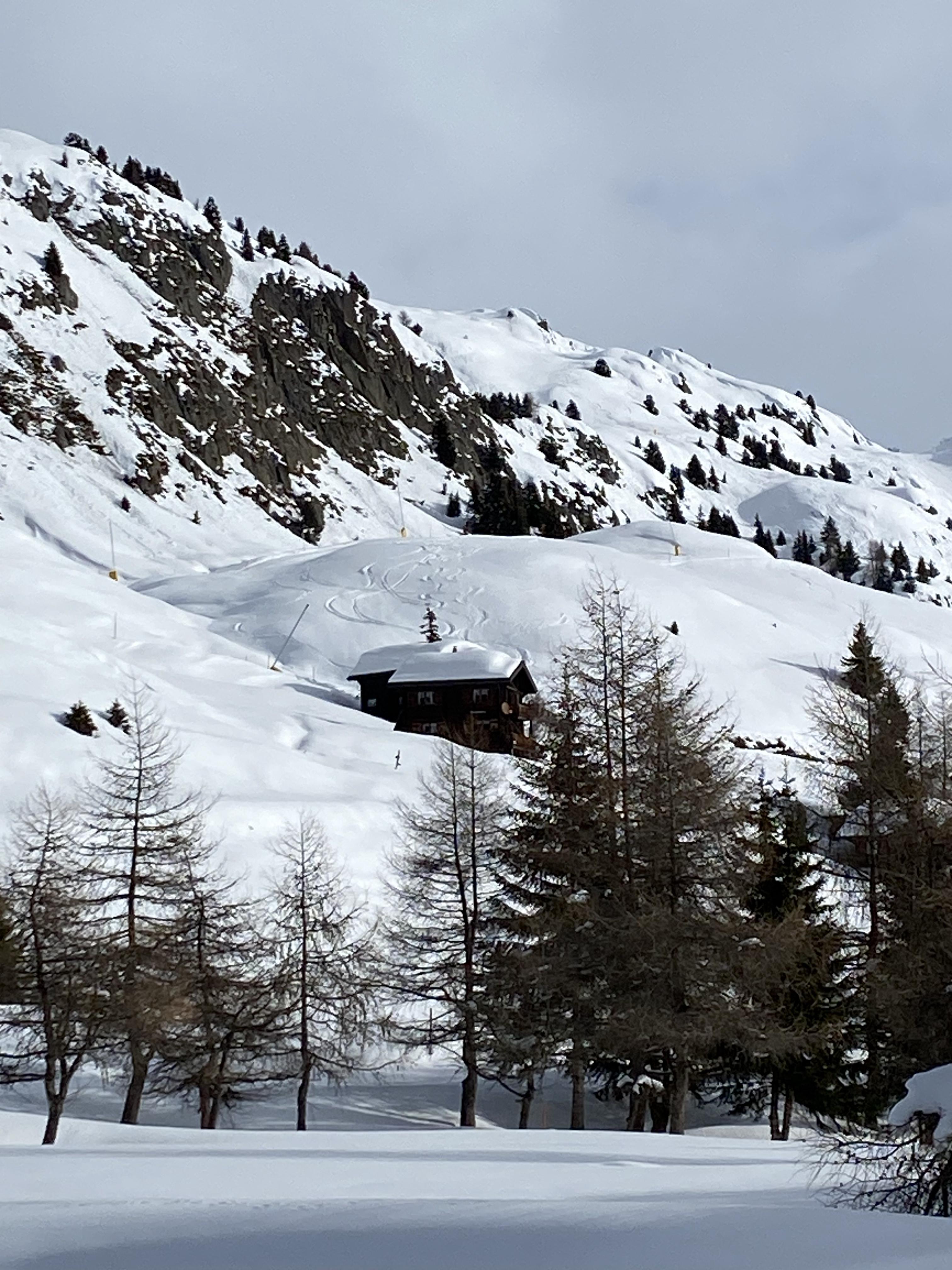 Morgenstern 2. OG Süd-West - IMG_0214~photo