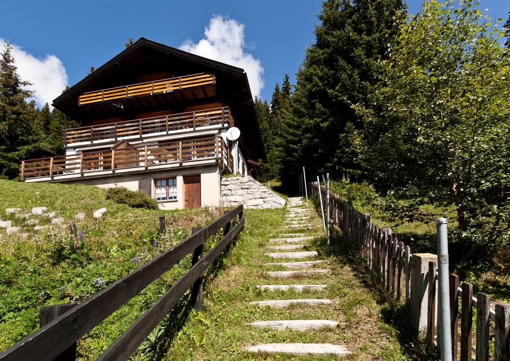 Con Dios Rothorn - Zugang Chalet