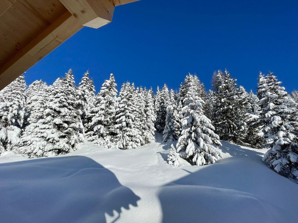 Quarz EG Süd - Chalet aussen Wald verschneit