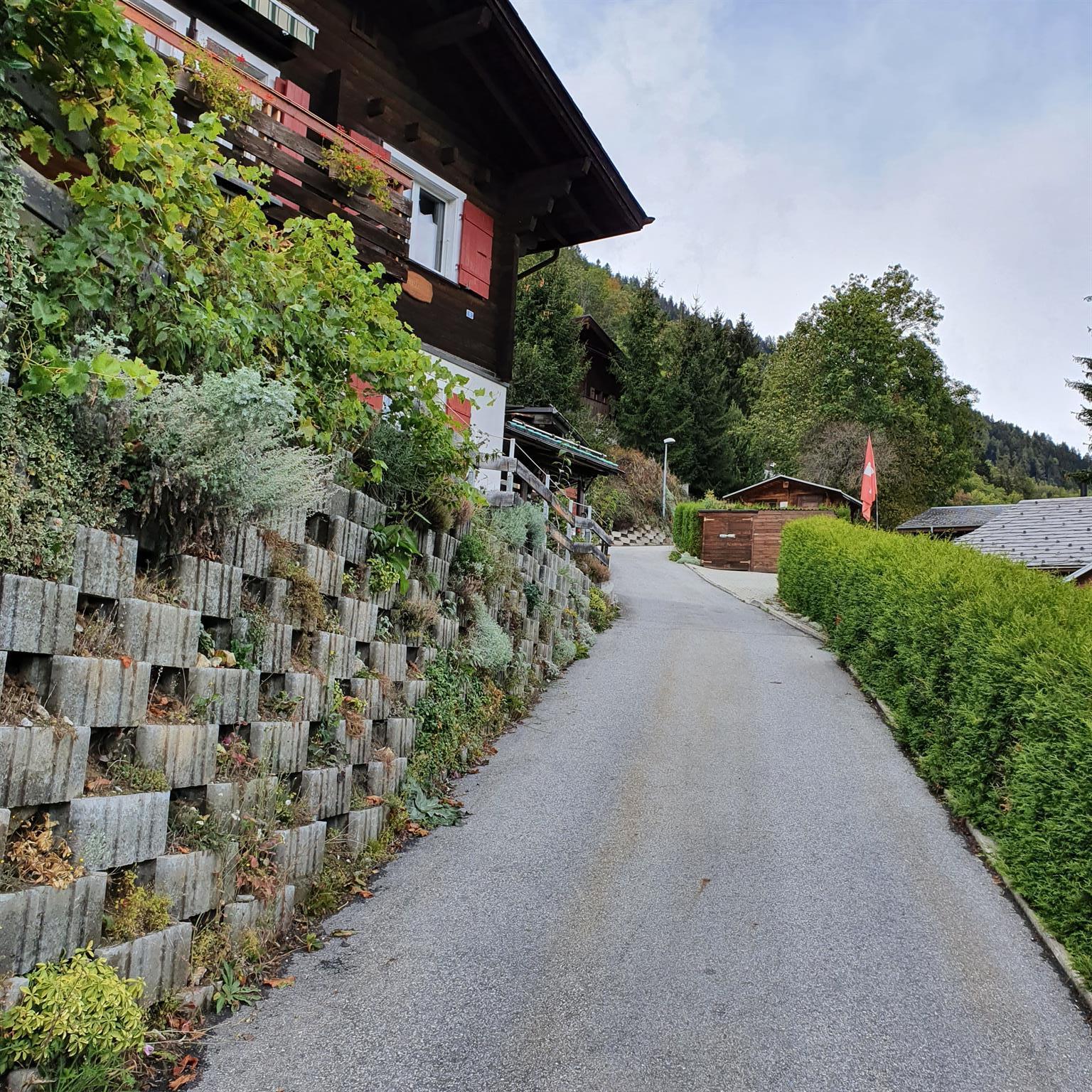 Träumli Studio - Zufahrt