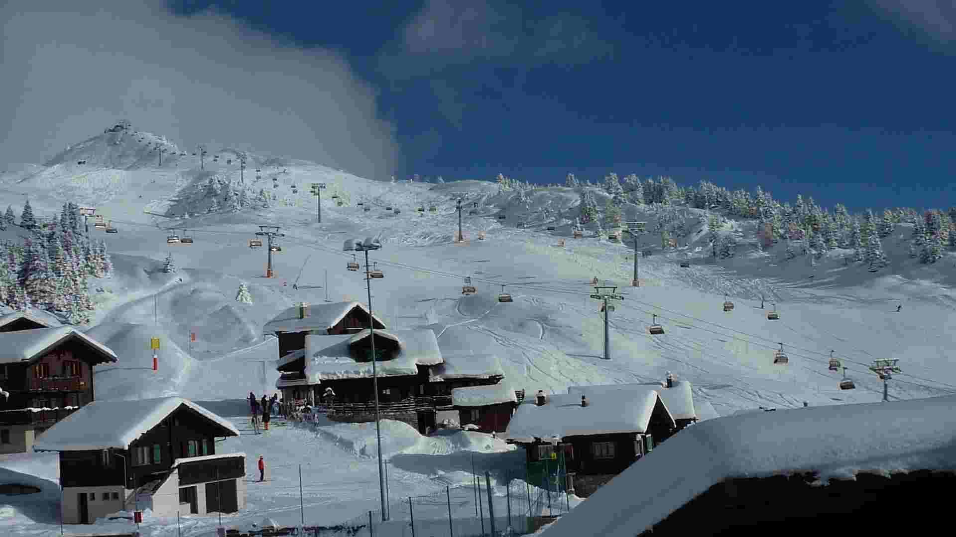 Forelle EG - Aussicht Winter