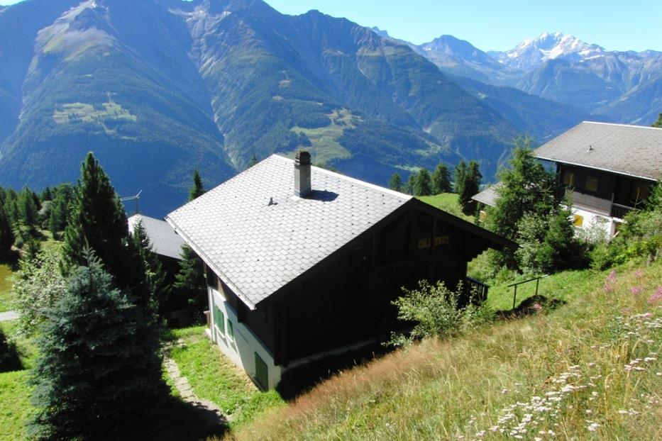 Rondo Parterre - Rondo im Sommer