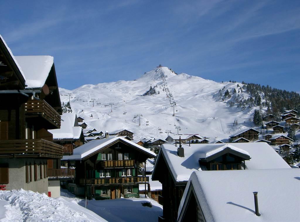 Apollo -  1 1/2-Zimmerwohnung - Aussicht