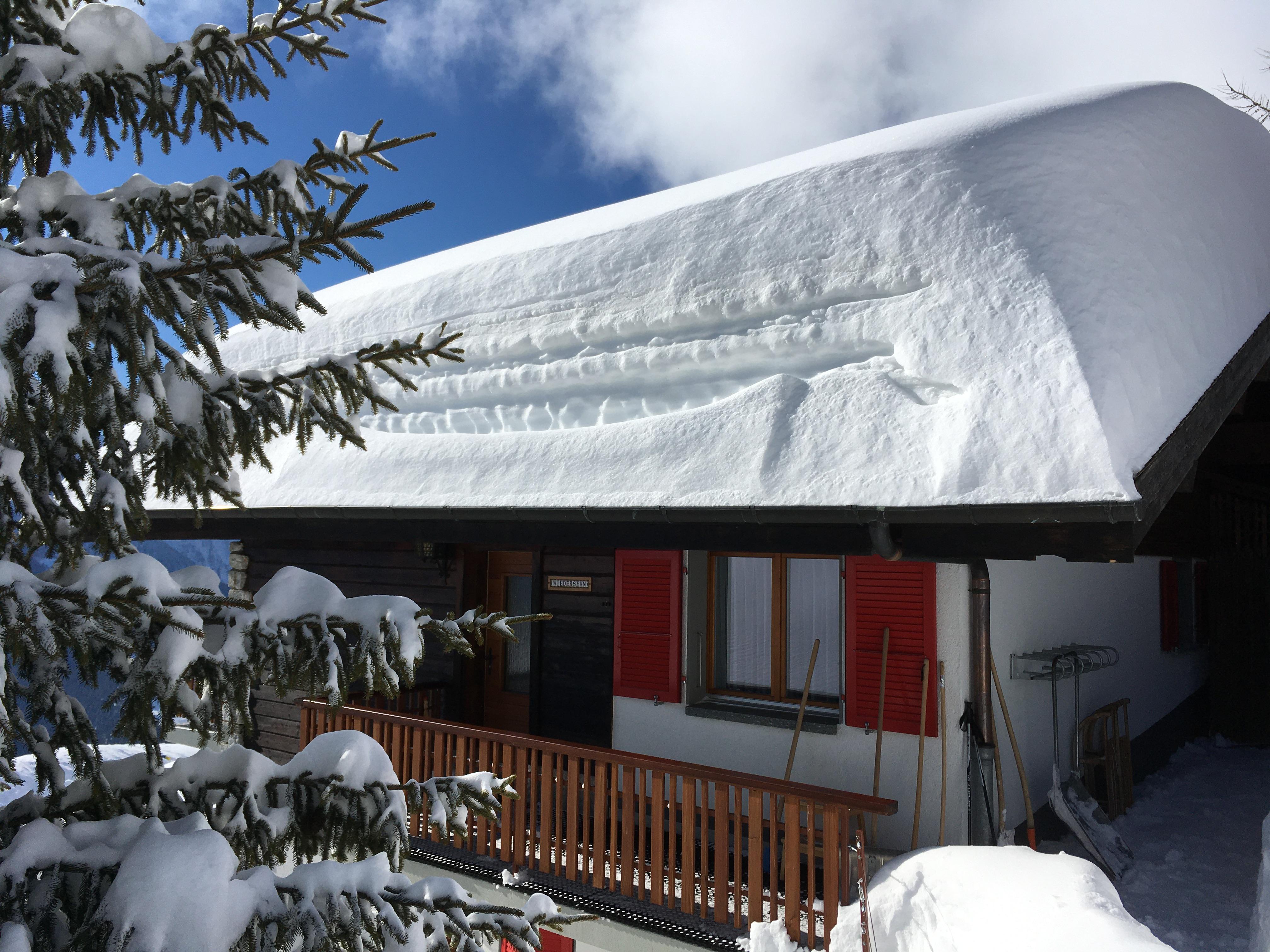 Wiedersehn Parterre - IMG_3275