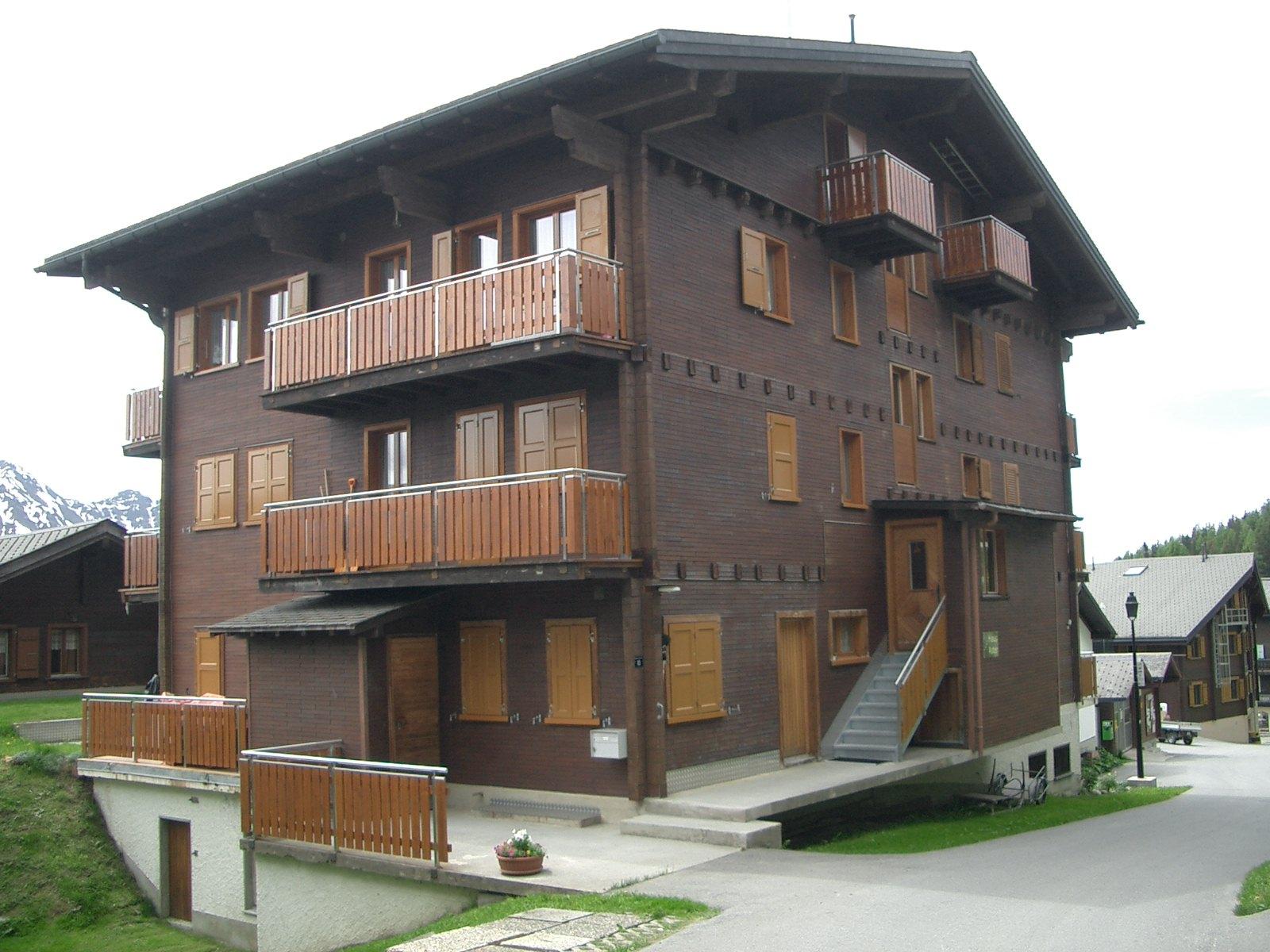 Aster (Summermatter-Minnig) - Aster Nordseite