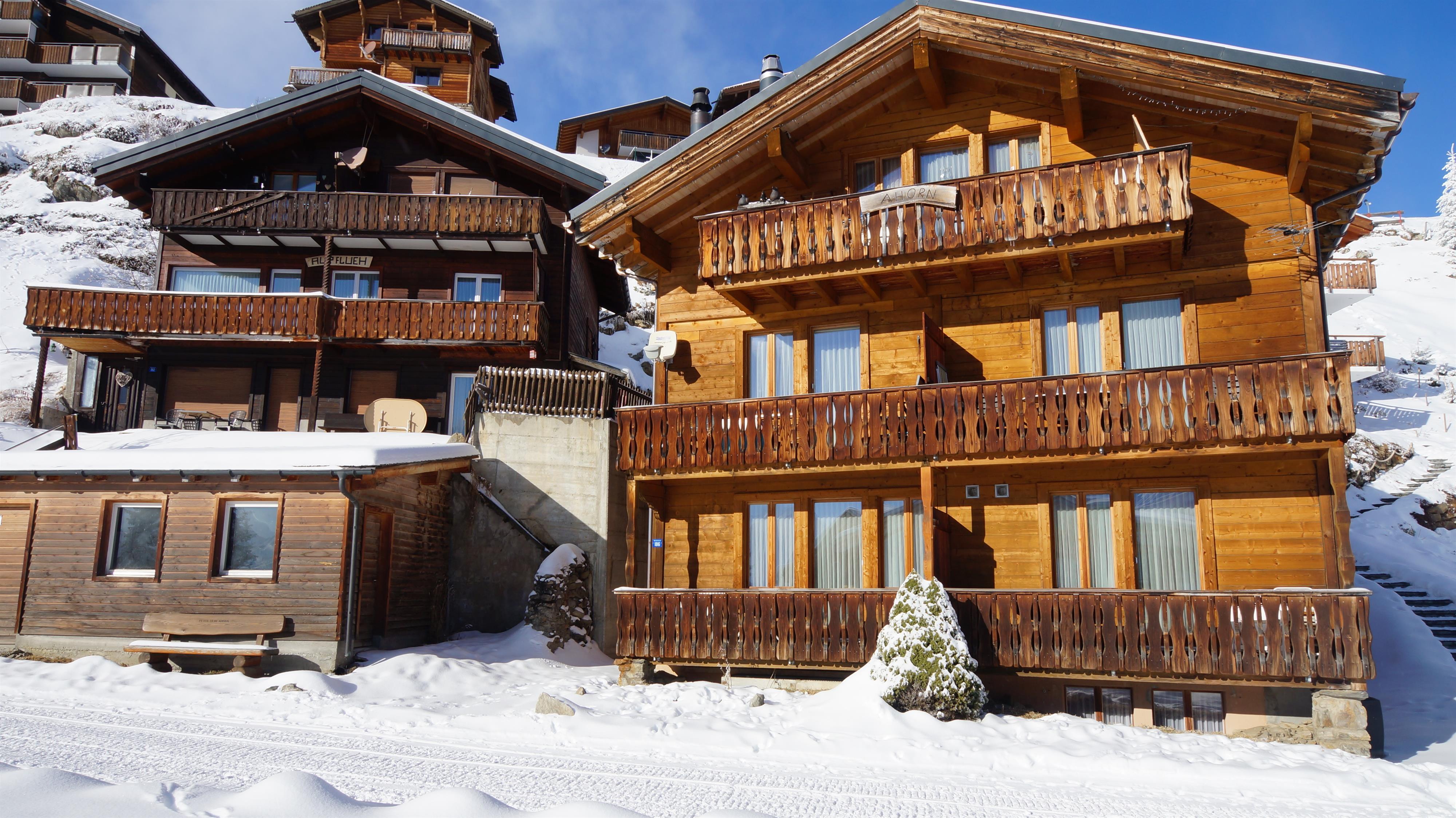 Ahorn Bettmeralp Service - DSC07047