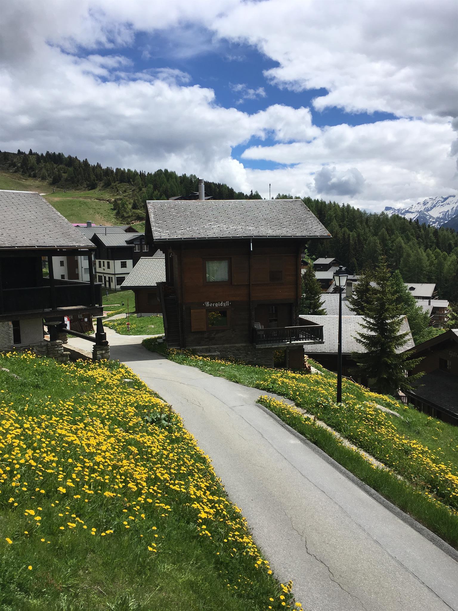 Bergidyll Mitte - Bergidyll Sommer