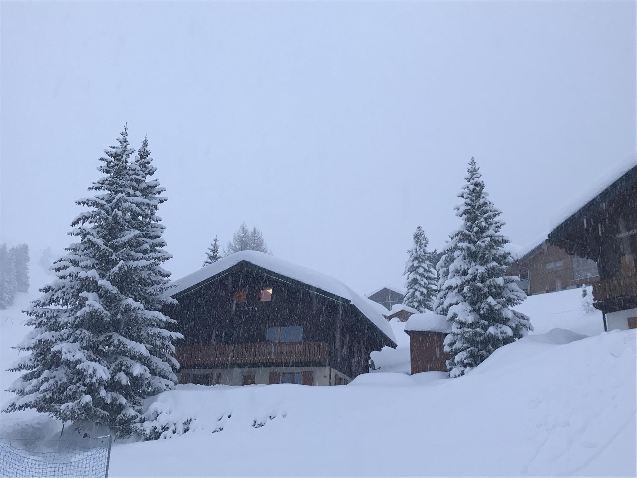 Viola - Chalet Viola