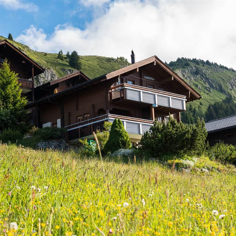 Cassiopeia - DSC_5537_fotoweb15_riederalp-fewo