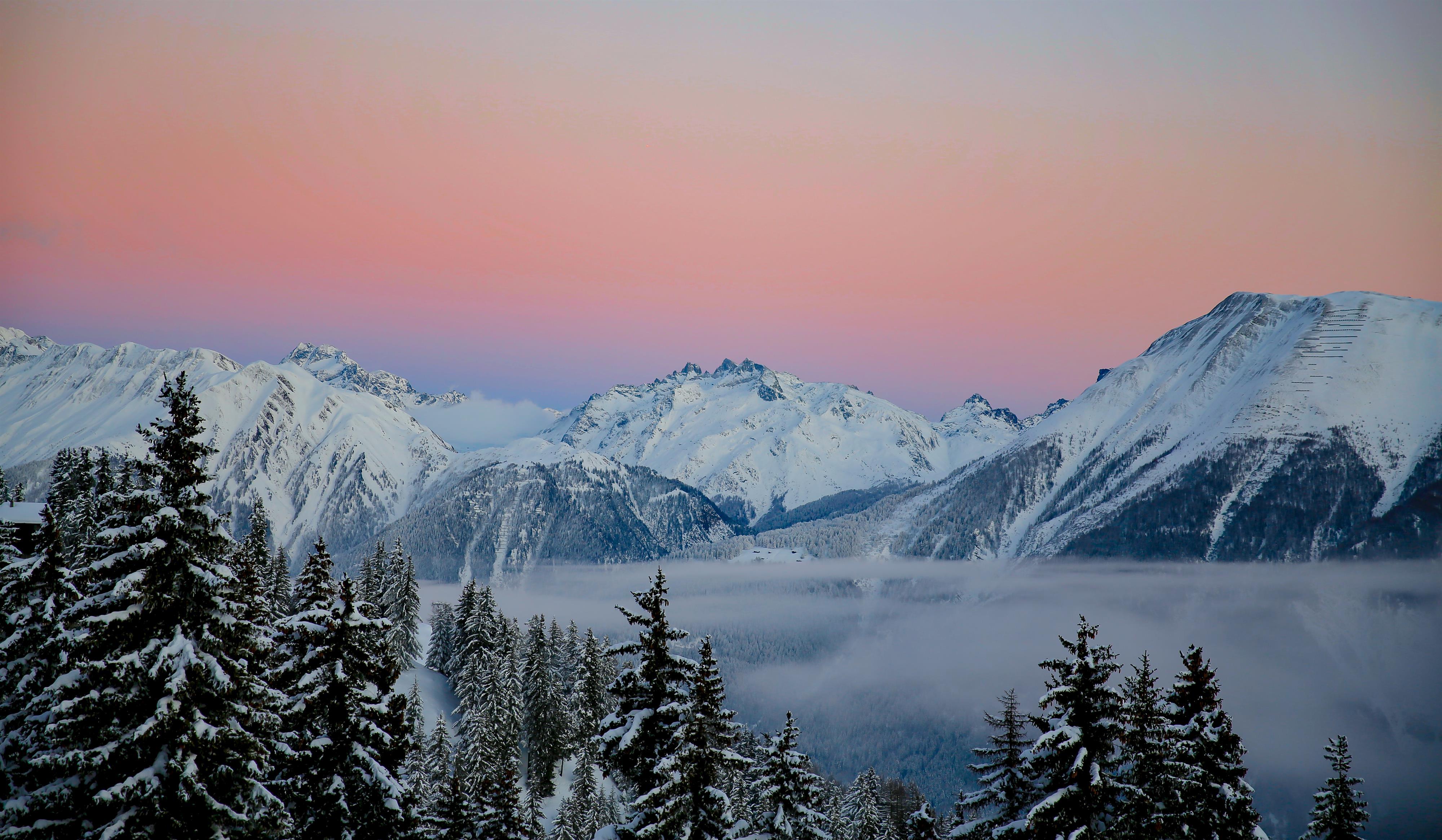 Okkernoot - naamloos-2 kopie 3