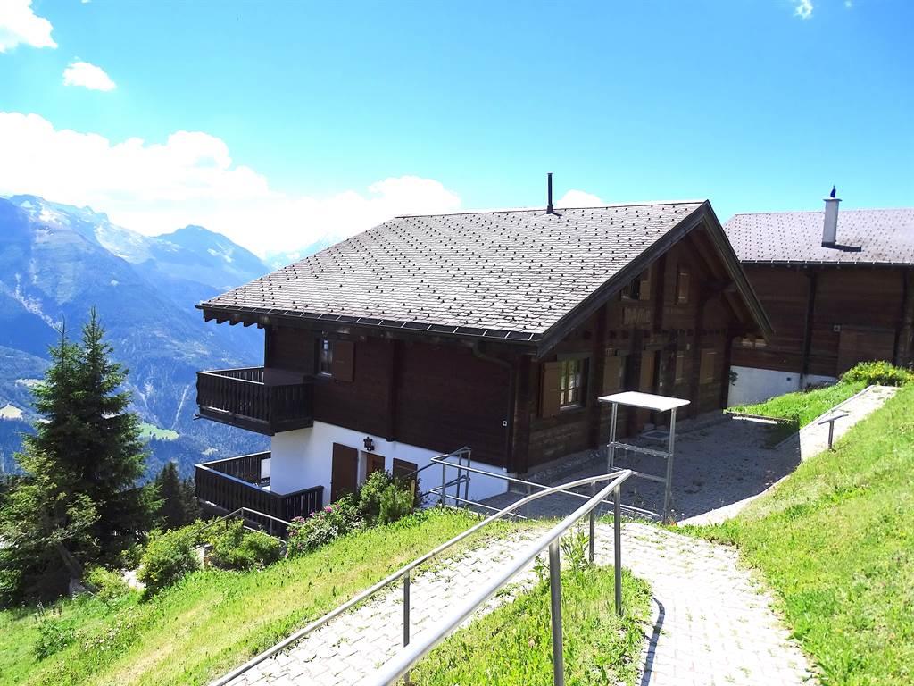 Dame 1. OG - Aussenansicht Sommer West