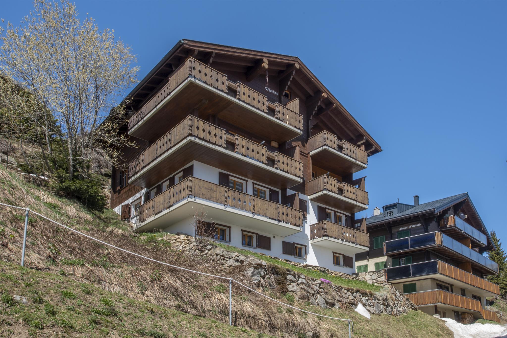 Moräna OG - moräna-6766