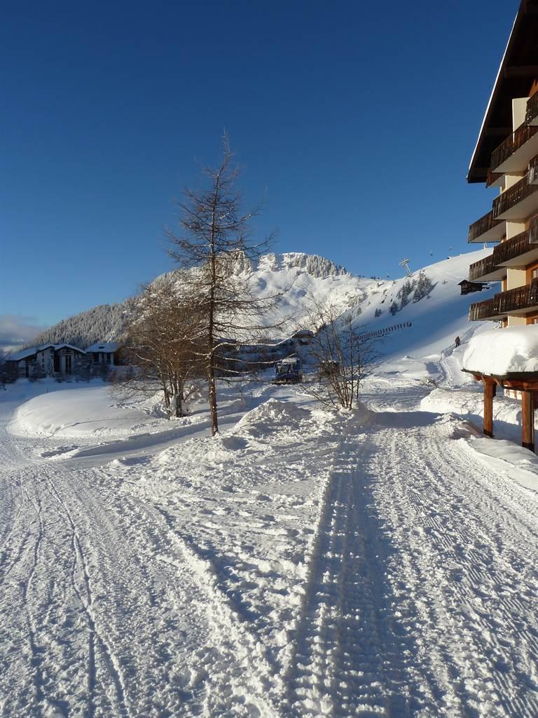Hollandia 28 - Vor dem Haus Blick nach Westen