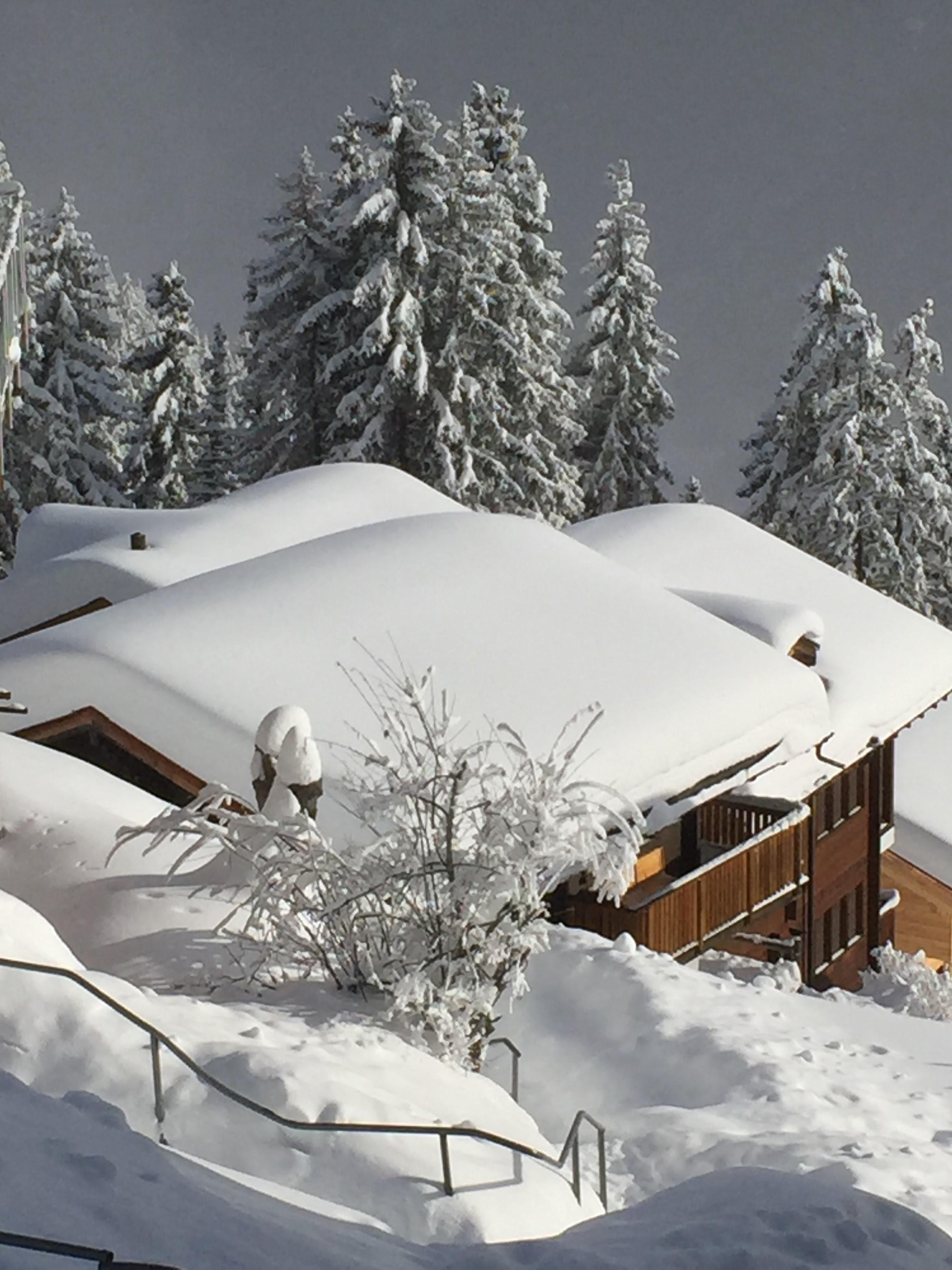 Alba 1. Stock - IMG_3480 (2)[776]