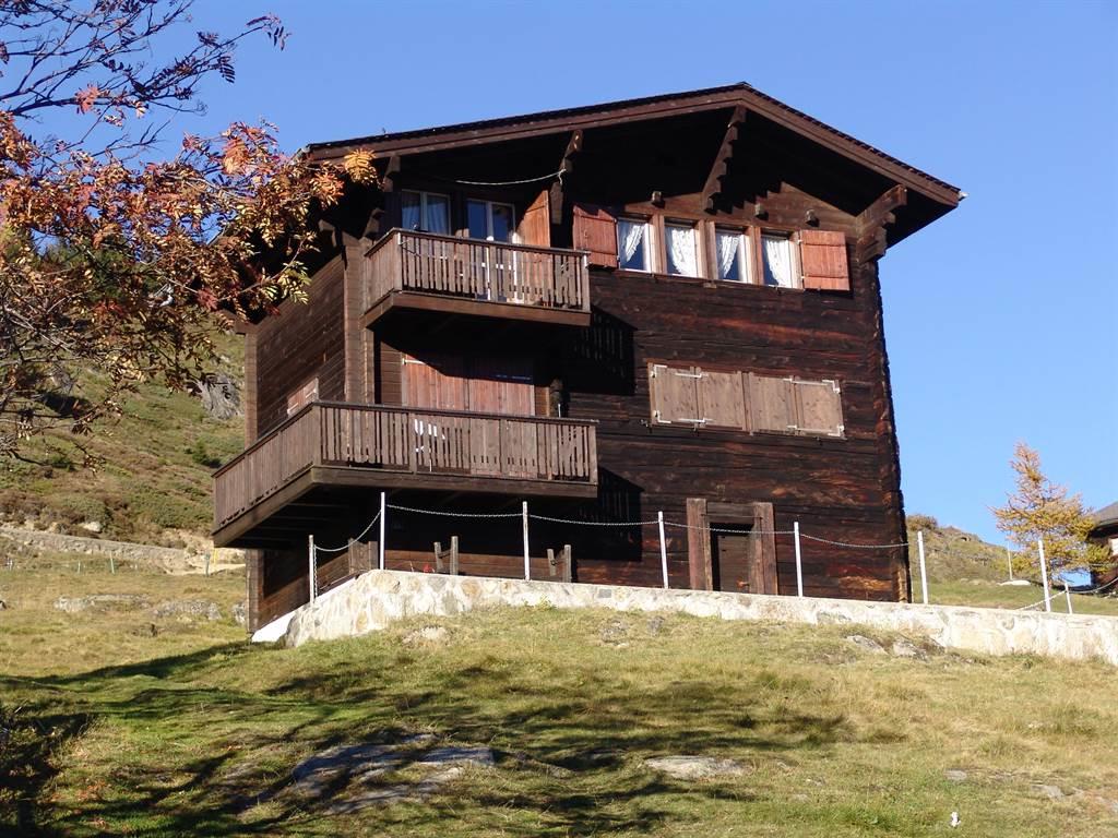 Pelikan 1. Stock - DSC09654