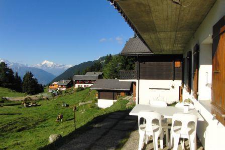 Golf Parterre - Aussicht Sommer  Balkon