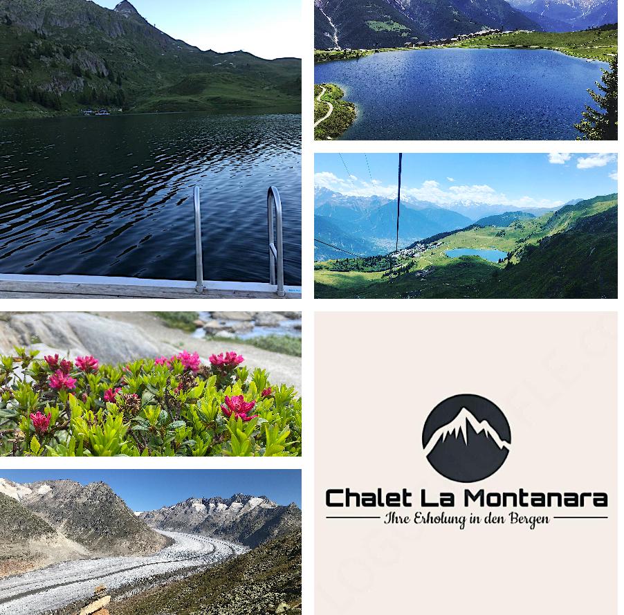 La Montanara EG West - Postkarte La Montanara