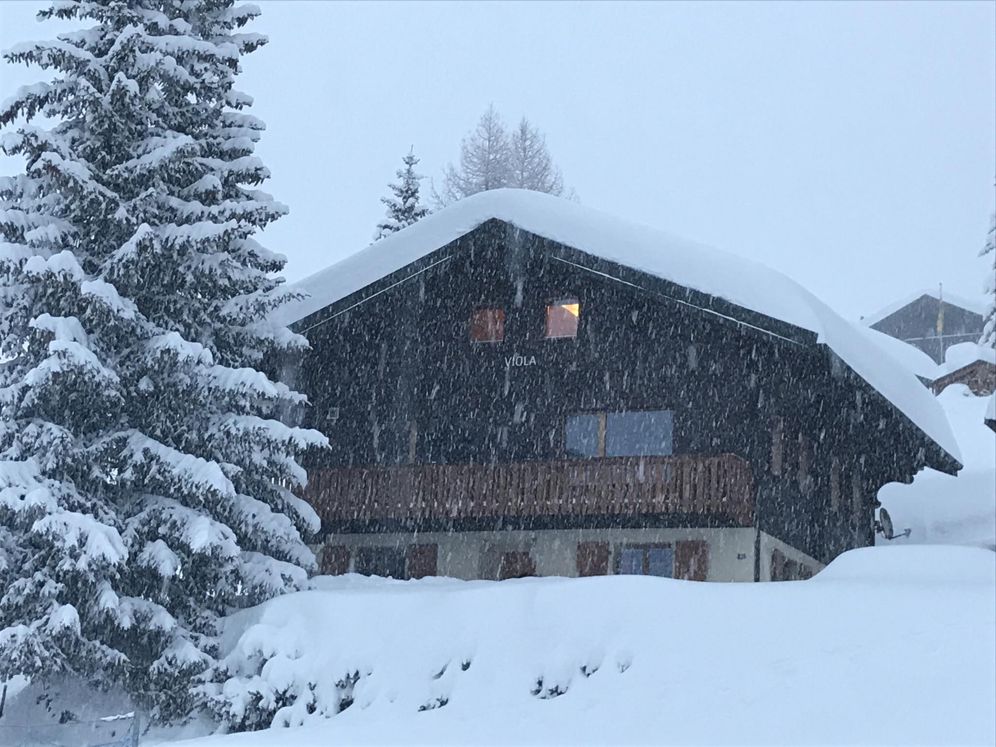 Viola - Ansicht West