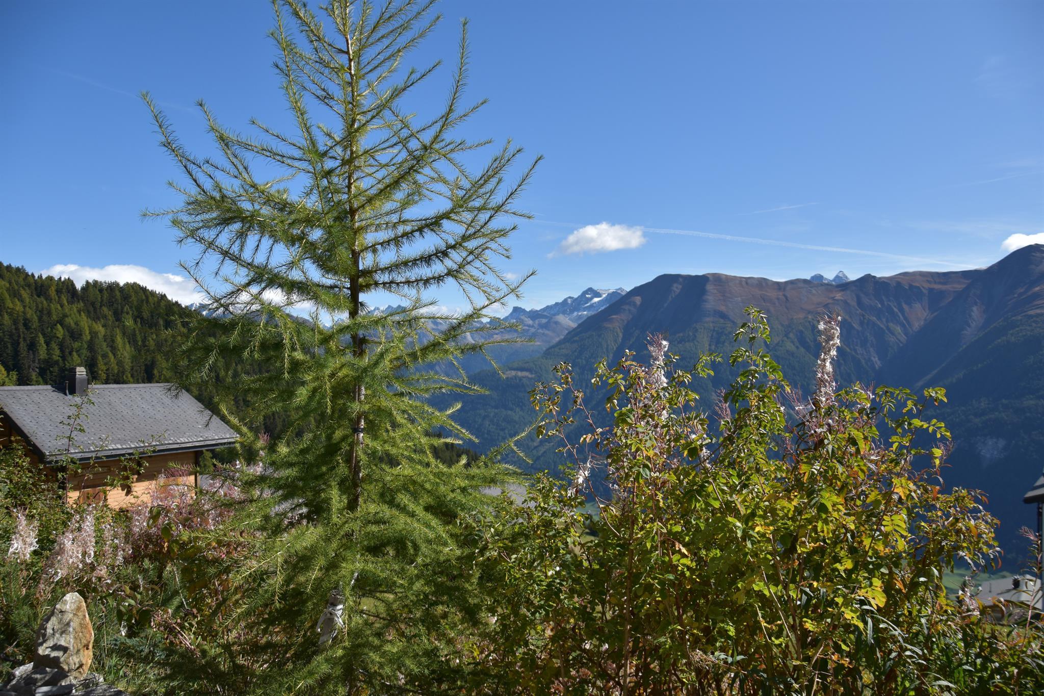 Alpha A02 - A02 Blick vom Sitzplatz