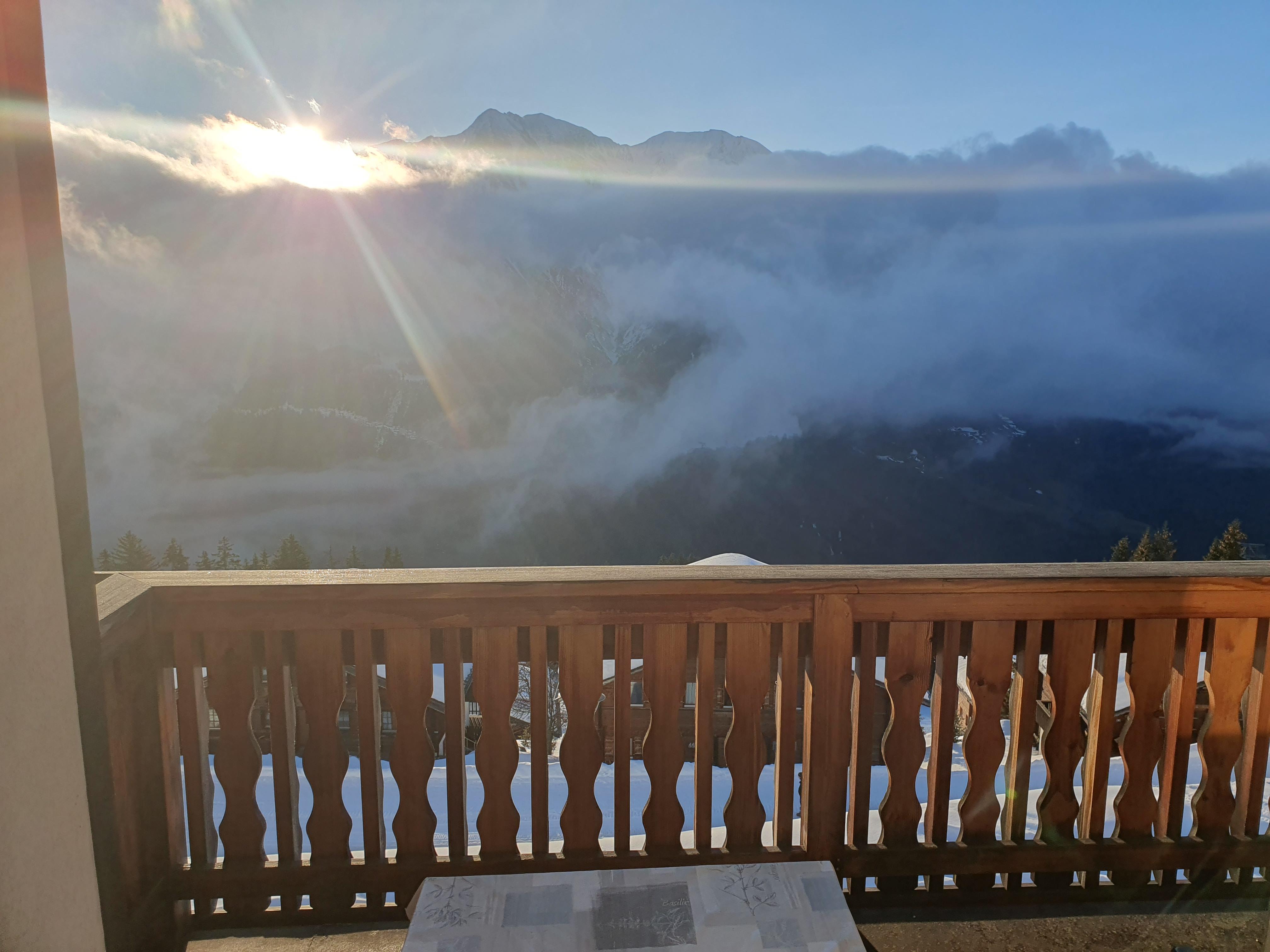 Tamara DW - 20240127_084751