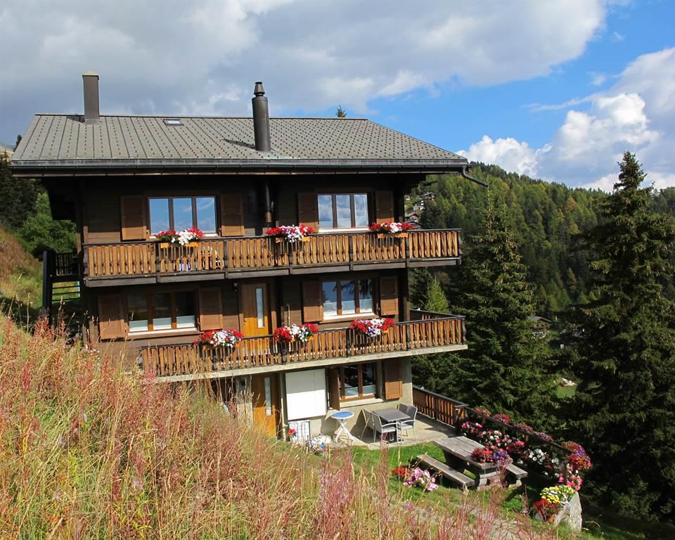 Sonnhalde 1. Stock Süd-West - SONNHALDE_1