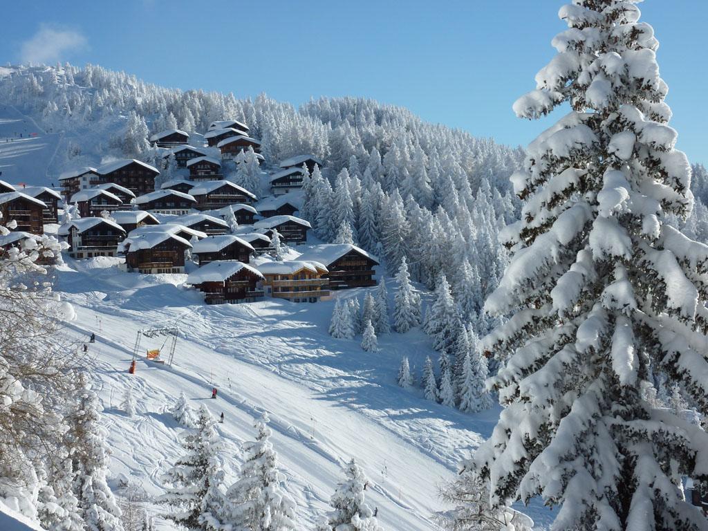 Kaktus 8 Bett - Aussicht 2 Ost Winter