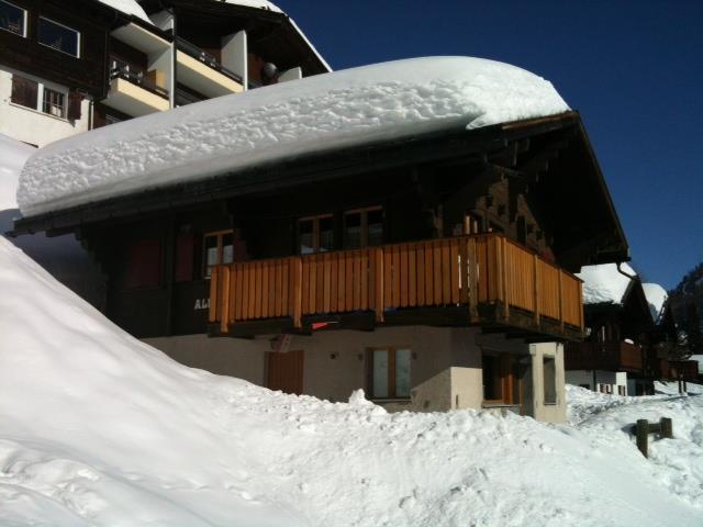 Alba 1. Stock - Chalet Alba