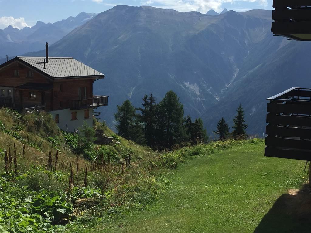 Alpenglück 37 - Balkon SO