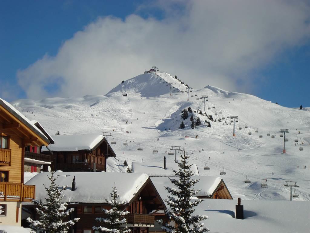 Arnika 2 - Wurzenbord