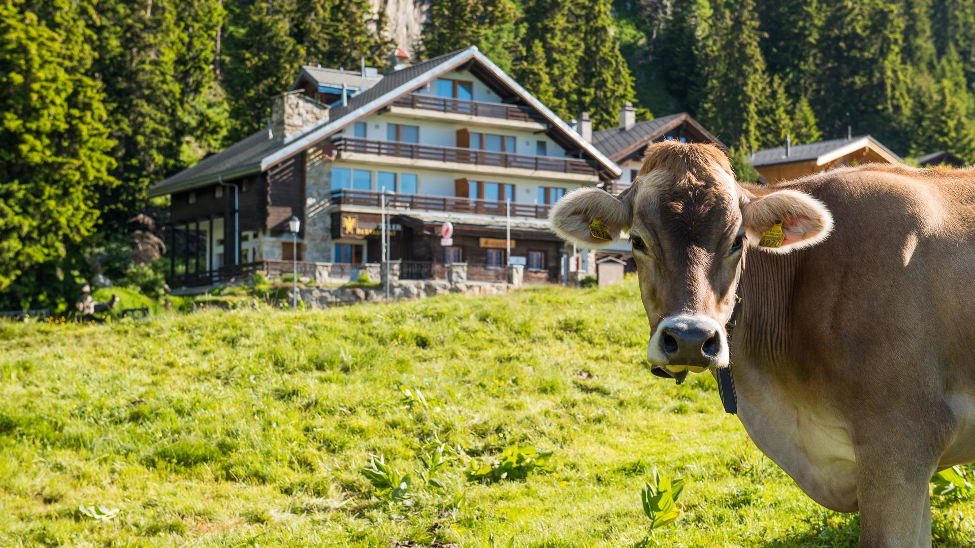 Adler Residenz 20 2. OG Süd - DSC_5612_fotoweb15