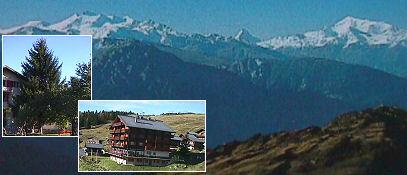 Topas Studio - Collage Sommer