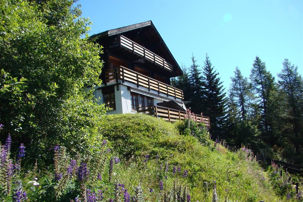 Con Dios Rothorn - Aussenansicht Sommer